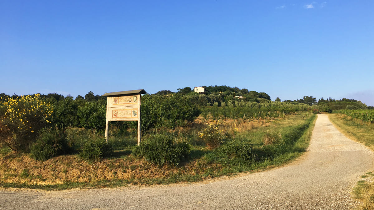 Agriturismo l'Isola - Autodeterminazione OPPT1776